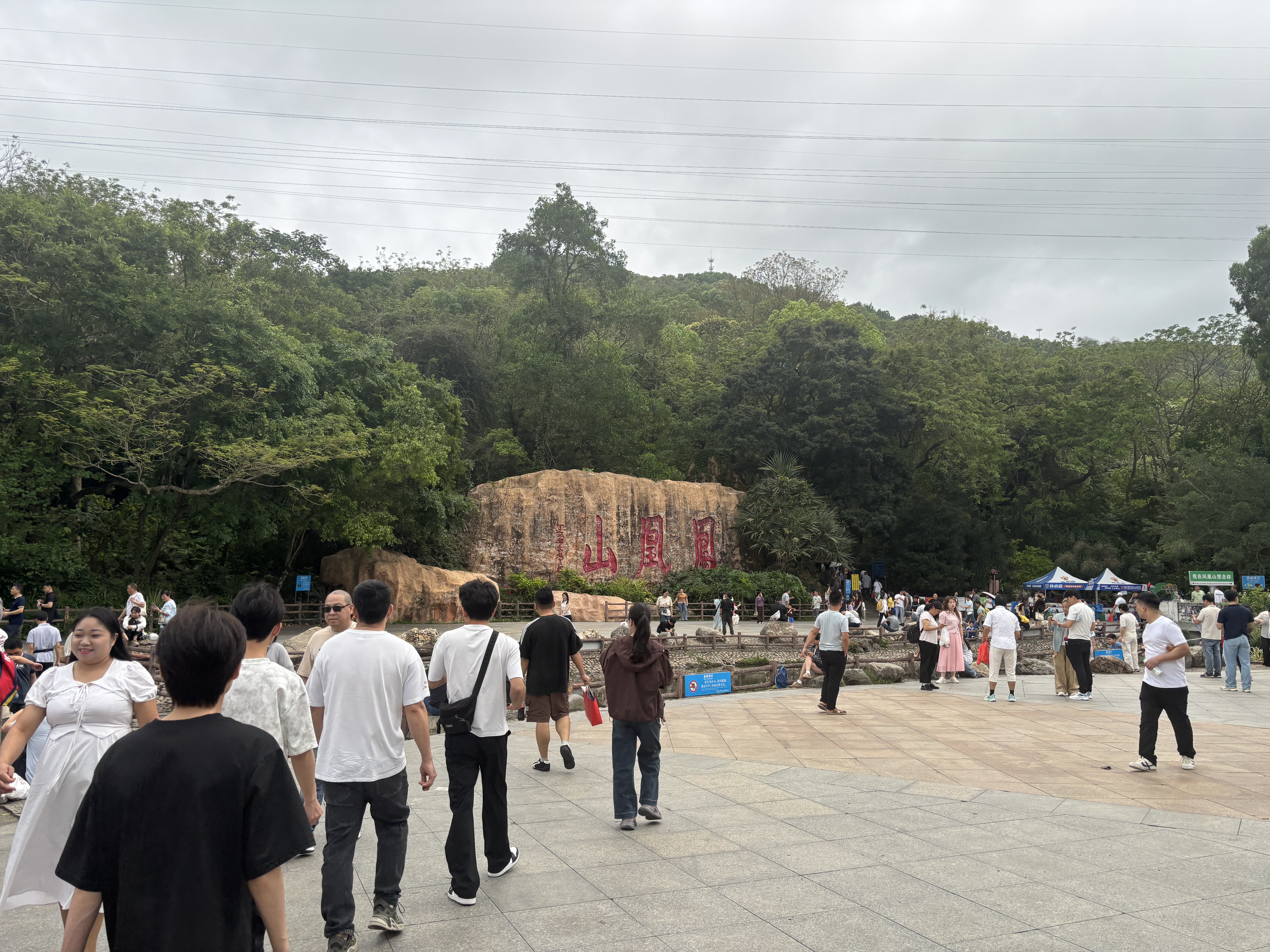凤凰山-02