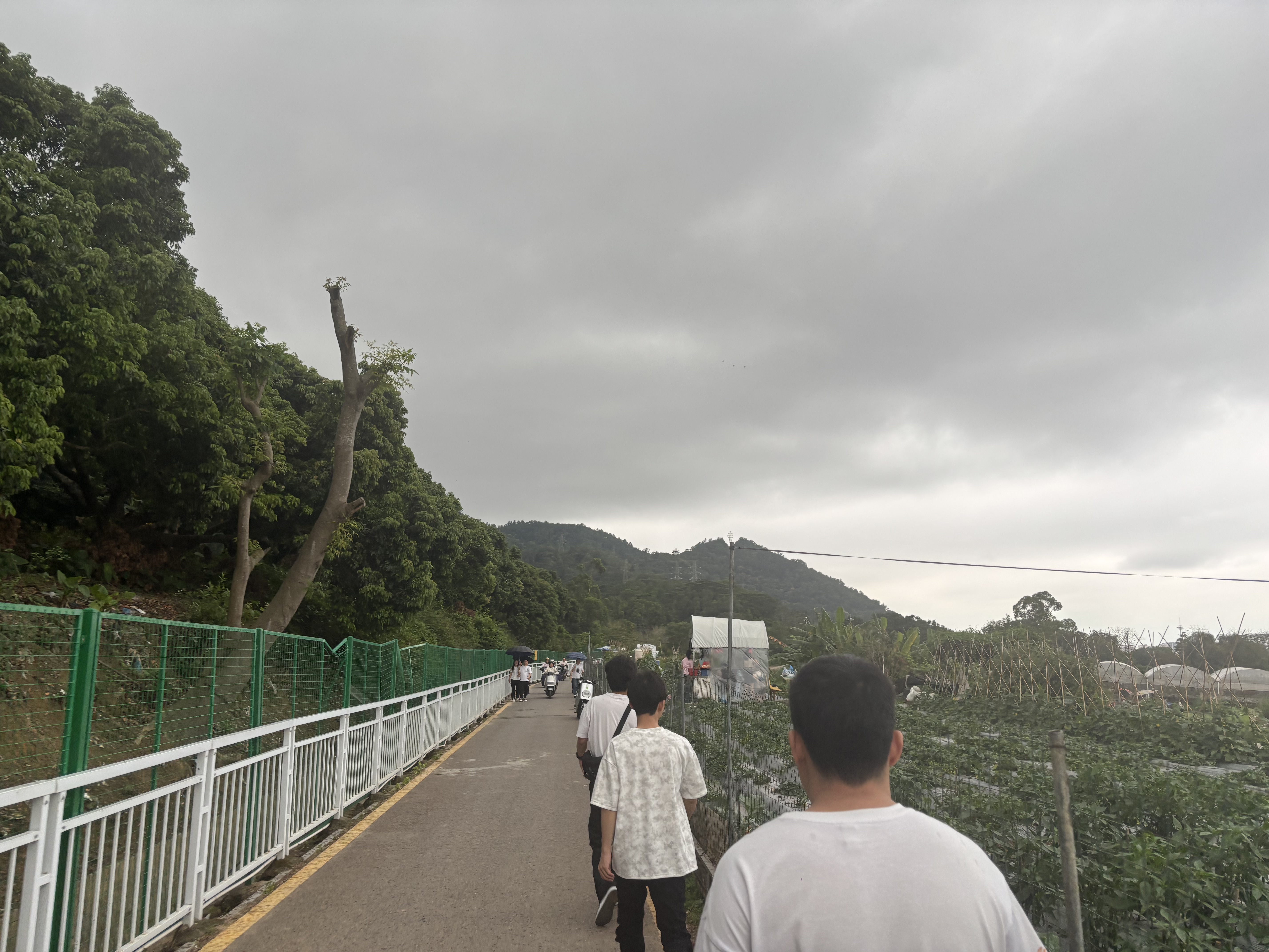 凤凰山-05