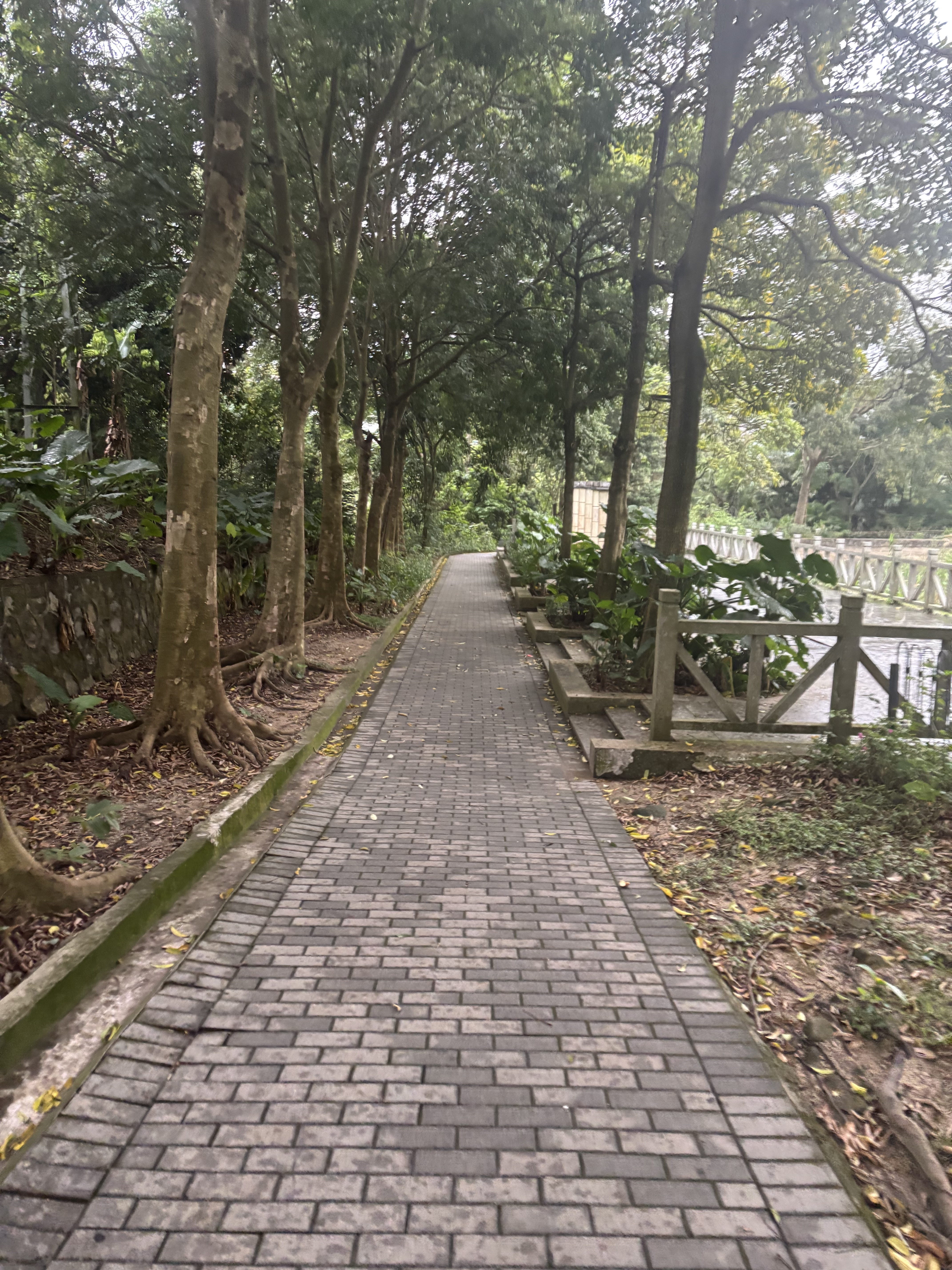 凤凰山-07